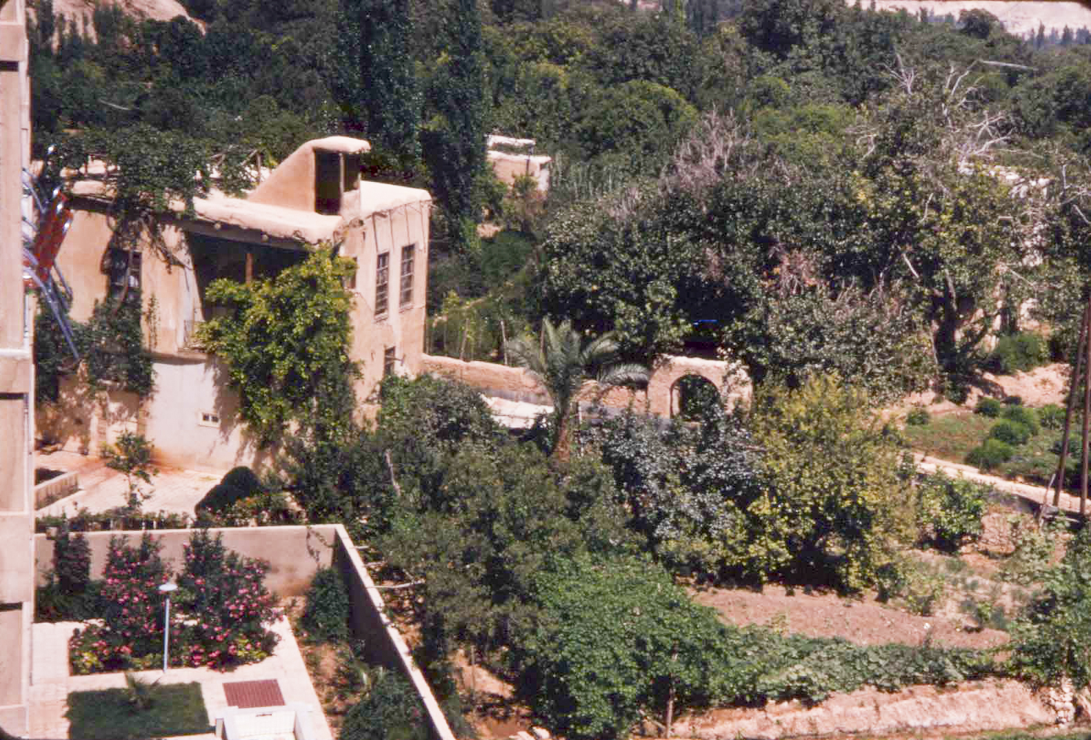 hazesakertdamascus.jpg